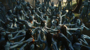 Avatar Crowd In Hd Wallpaper