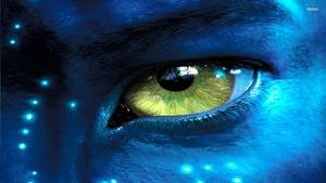 Avatar Jake Eye Shot In Hd Wallpaper