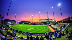 Awesome Softball In 360 Shot Wallpaper