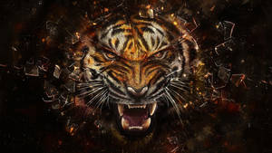 Awesome Sumatran Tiger Wallpaper