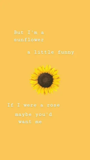 Awesome Sunflower Quotes Wallpaper