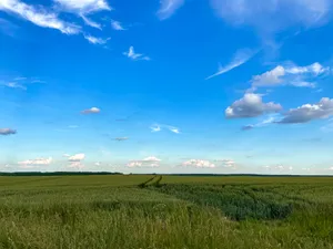 Azure Sky With Green Field Wallpaper