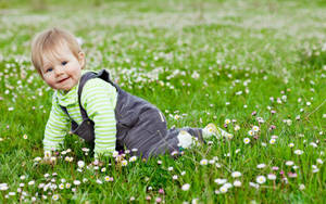 Baby Boy Crawling On Flower Field Wallpaper