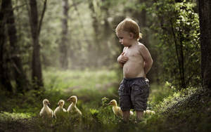 Baby Boy With Ducklings Wallpaper