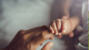 Baby Hand Clutching Onto A Finger Wallpaper