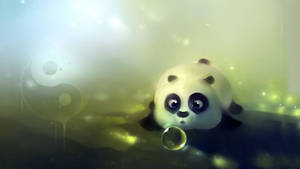 Baby Panda Hd Cartoon Wallpaper