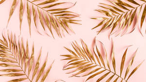Baby Pink Surface With Dried Leaves Wallpaper