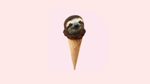 Baby Sloth Ice Cream Wallpaper