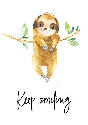 Baby Sloth Keep Smiling Wallpaper