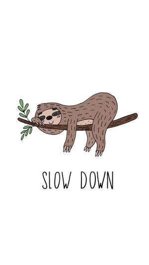 Baby Sloth Slow Down Wallpaper
