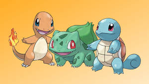 Baby Squirtle Pokémon Wallpaper