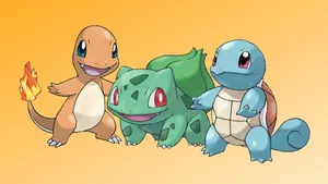 Baby Squirtle Pokémon Wallpaper
