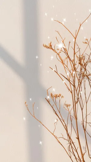 Baby’s Breath Spring Iphone Wallpaper
