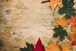 Backdrop For Cute Fall Aesthetic Themed Wallpaper