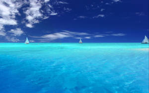 Bahamas Blue Caribbean Ocean Wallpaper