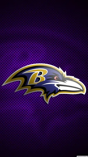 Ravens Wallpapers  Baltimore Ravens –