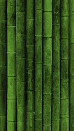Bamboo Green Phone Wallpaper