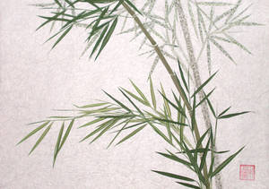 Bamboo Plant Art Wallpaper