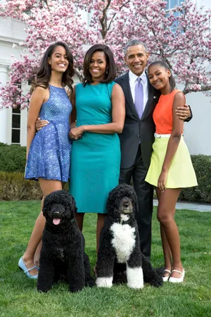 Barack And Michelle Obama Family Portrait Wallpaper