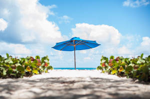 Barbados Beach Umbrella Wallpaper
