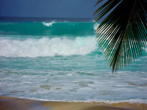 Barbados Sea Waves Wallpaper