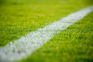 Basic Close Up Of Football Field Line Wallpaper