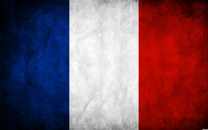 Basic France Flag Wallpaper