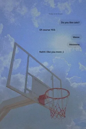 Basketball Aesthetic Chat Cats Wallpaper