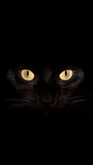 Be Afraid... Be Very Afraid Wallpaper