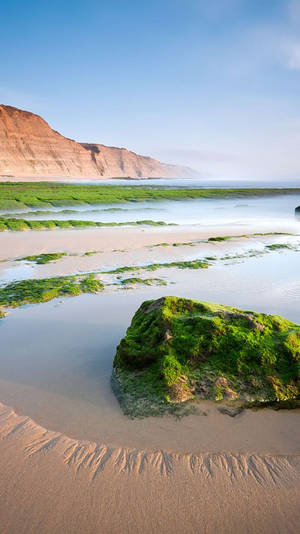 Beach 4k Iphone Mossy Rocks Wallpaper