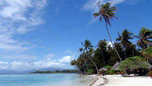 Beach On French Polynesia Wallpaper