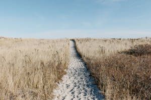 Beach Pathway Hd Landscape Desktop Wallpaper