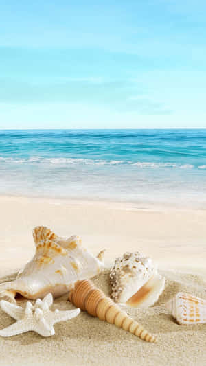 Beach Phone Seashells Wallpaper