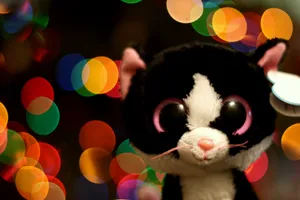 Beanie Boos Kitten Wallpaper