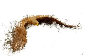 Beatufiul Eagle Art Wallpaper