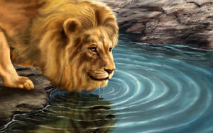 Beautiful 3d Lion Desktop Show Wallpaper
