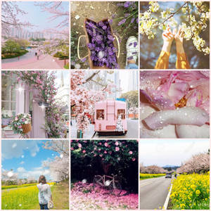 Beautiful Aesthetic Spring Iphone Lock Screen Wallpaper