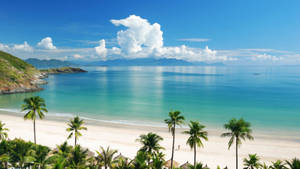 Beautiful Beach In Vietnam Wallpaper