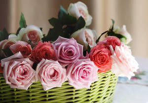 Beautiful Bouquet Of Sharp Roses Wallpaper