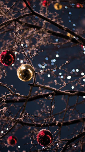 “beautiful Christmas Lights Adorn This Festive Winter Scene.” Wallpaper