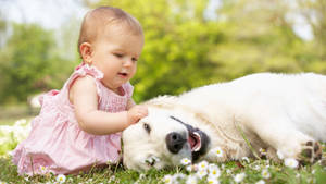 Beautiful Cute Baby And Dog Wallpaper