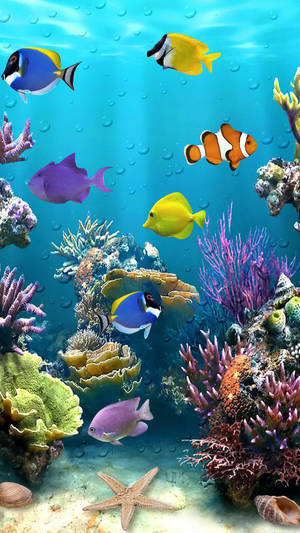 Beautiful Fish Swimming Wallpaper