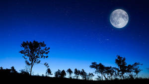 Beautiful Full Moon Blue Night Sky Wallpaper