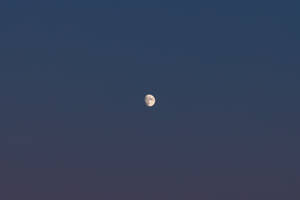 Beautiful Full Moon Expansive Sky Wallpaper