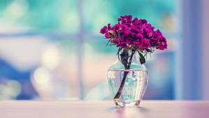 Beautiful Hd Flowers In A Vase Wallpaper