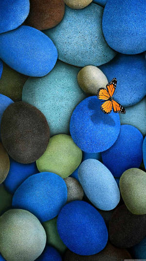 Beautiful Hd River Stones And Butterfly Wallpaper