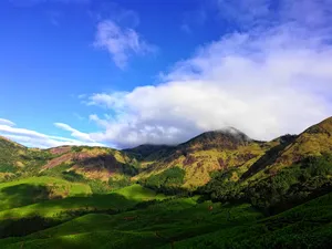 Beautiful Iphone Green Mountains Wallpaper