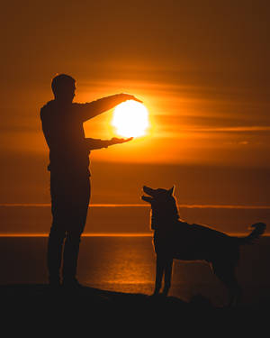 Beautiful Iphone Man Dog Sun Wallpaper