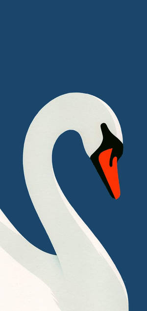 Beautiful Iphone Swan Wallpaper
