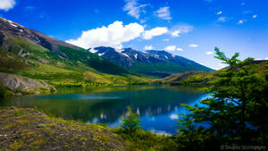 Beautiful Lake Scenery